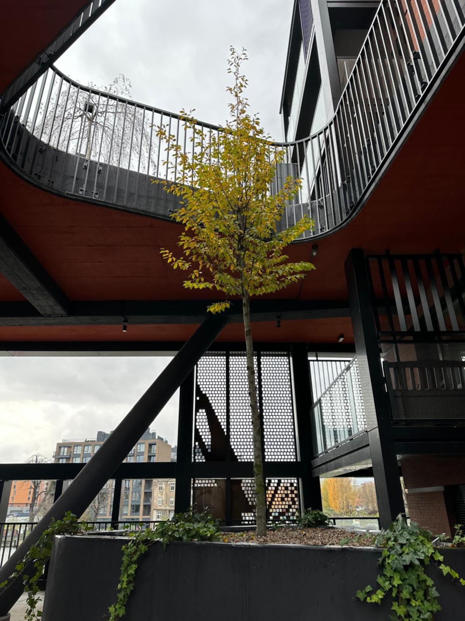 Eak Apartments-Nadmotlawie Gdańsk Kültér fotó