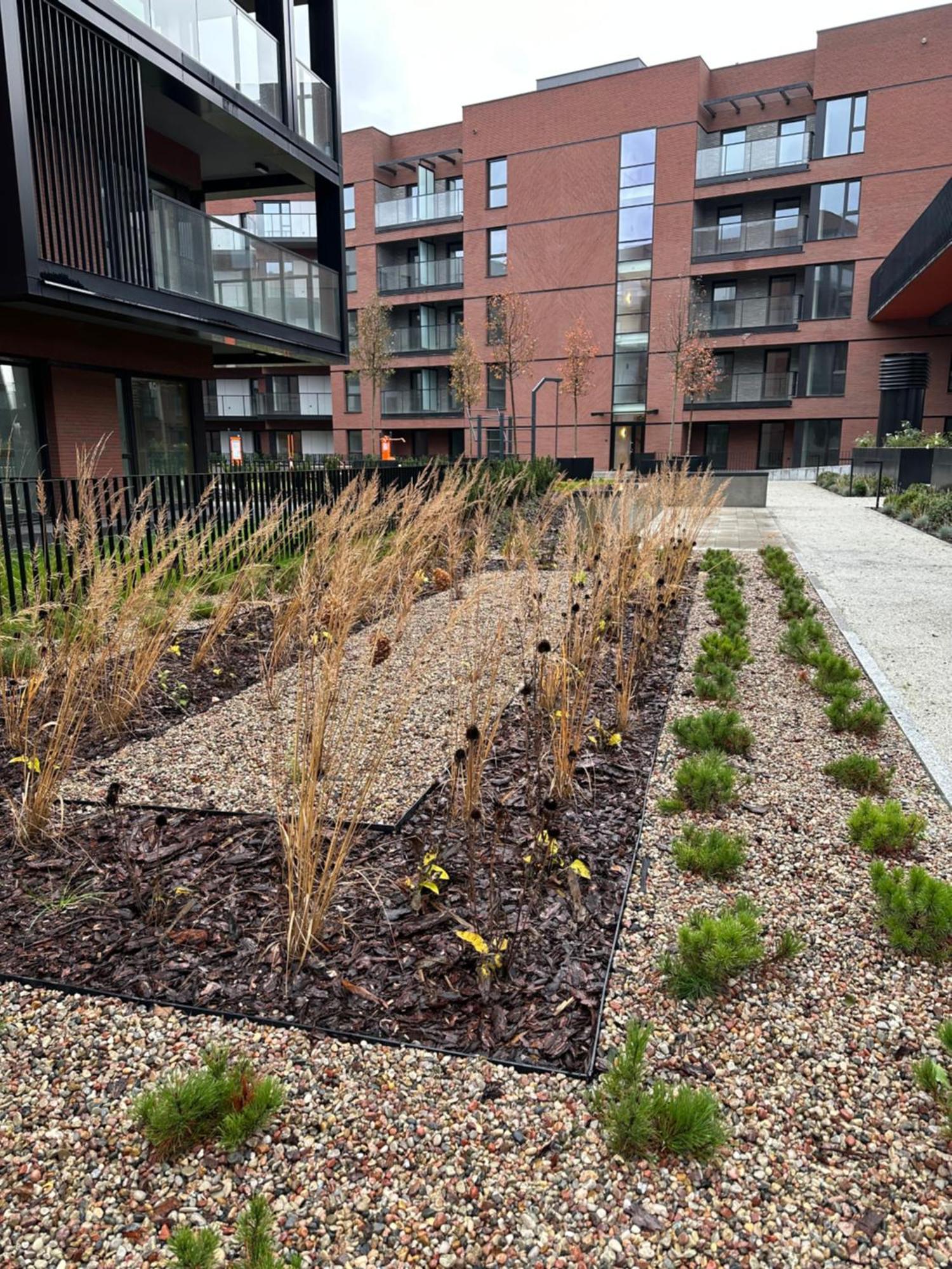 Eak Apartments-Nadmotlawie Gdańsk Kültér fotó